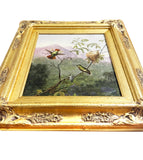 Original Hummingbird Oil Painting, Tufted Coquette, Gilded Wood Framed Wall Art