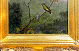 Original Hummingbird Oil Painting, Tufted Coquette, Gilded Wood Framed Wall Art