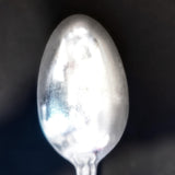Vintage Sant' Andrea Silverplate Soup / Dessert Spoon 7.5" Hotel Silver Rossini Pattern