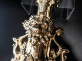 Antique French Brass Andirons Chenets Lion And Dragon Gothic