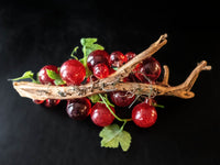 Vintage Lucite Resin Grapes Cluster On Driftwood