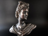 Bronze Bust Greek Goddess Neoclassical Statue Wildwood