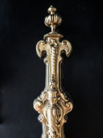 Antique French Brass Andirons Chenets Lion And Dragon Gothic