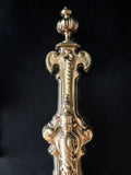 Antique French Brass Andirons Chenets Lion And Dragon Gothic