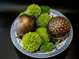 Bronze Decor Sphere Orbs Trinket Boxes Hand Crafted