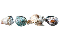 Vintage Napkin Rings Hans Turnwald Sea Shells IOB Miami Paris Dining And Serving