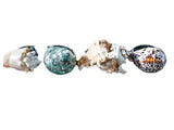 Vintage Napkin Rings Hans Turnwald Sea Shells IOB Miami Paris Dining And Serving