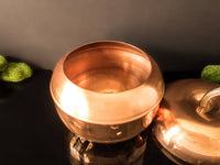 Vintage Ice Bucket Copper Bronze Apple Pumpkin Raymor Italy Mid Century Modern