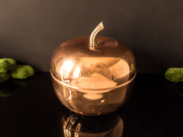 Vintage Ice Bucket Copper Bronze Apple Pumpkin Raymor Italy Mid Century Modern
