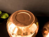 Vintage Ice Bucket Copper Bronze Apple Pumpkin Raymor Italy Mid Century Modern