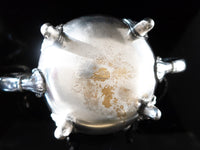 Antique Silver Plate Two Teapots And Sugar Bowl With Flower Finial Tea and Coffee Sets