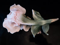 Vintage Capodimonte Rose Peach Color Made In Italy In Original Box