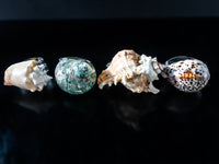 Vintage Napkin Rings Hans Turnwald Sea Shells IOB Miami Paris Dining And Serving