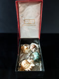 Vintage Napkin Rings Hans Turnwald Sea Shells IOB Miami Paris Dining And Serving