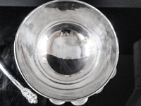 Vintage Silver Plate Punch Bowl Set With 10 Cups And Ladle