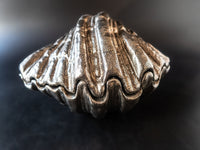 Large Castilian Imports Silver Shell Porcelain Oyster Shell Sea Shell Decorative Bowls