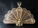 Vintage Brass Fireplace Screen Fireplace Fan Gargoyle Peacock Griffin Hollywood Regency Fireplace Screens