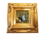 Gilded Framed Oil Painting Butterfly Blue Morpho MJ Heade