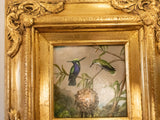 Gilded Framed Oil Painting Hummingbirds Black Breasted Plovercrest MJ Heade