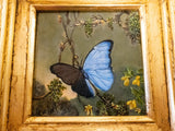 Gilded Framed Oil Painting Butterfly Blue Morpho MJ Heade