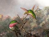 Gilded Framed Oil Painting Cattleya Orchid And 3 Hummingbirds Antique Style