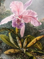 Gilded Framed Oil Painting Cattleya Orchid And 3 Hummingbirds Antique Style