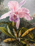 Gilded Framed Oil Painting Cattleya Orchid And 3 Hummingbirds Antique Style