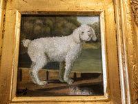 Gold Framed Oil Painting White Poodle Antique Style Hand Painted Paintings And Art