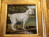 Gold Framed Oil Painting White Poodle Antique Style Hand Painted