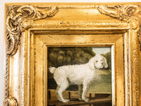 Gold Framed Oil Painting White Poodle Antique Style Hand Painted