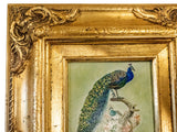 Gilded Framed Oil Painting Peacock Antique Style Pavo Cristatus