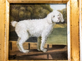 Gold Framed Oil Painting White Poodle Antique Style Hand Painted Paintings And Art