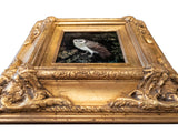 Gilded Framed Oil Painting Owl In Tree Antique Style