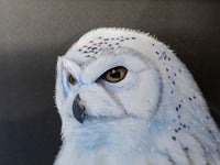 Large Vintage Paper Tole Snow Owl 3D Bamboo Framed Paintings And Art