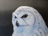 Large Vintage Paper Tole Snow Owl 3D Bamboo Framed Paintings And Art