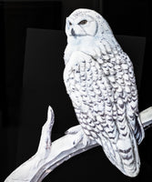 Large Vintage Paper Tole Snow Owl 3D Bamboo Framed Paintings And Art