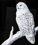 Large Vintage Paper Tole Snow Owl 3D Bamboo Framed Paintings And Art