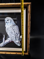 Large Vintage Paper Tole Snow Owl 3D Bamboo Framed Paintings And Art