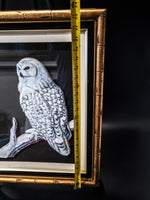 Large Vintage Paper Tole Snow Owl 3D Bamboo Framed